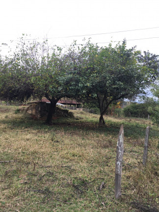 Imagem Fazenda à Venda, 149.000 m² em Zona Rural - Soledade de Minas Imagem Fazenda à Venda, 149.000 m² em Zona Rural - Soledade de Minas