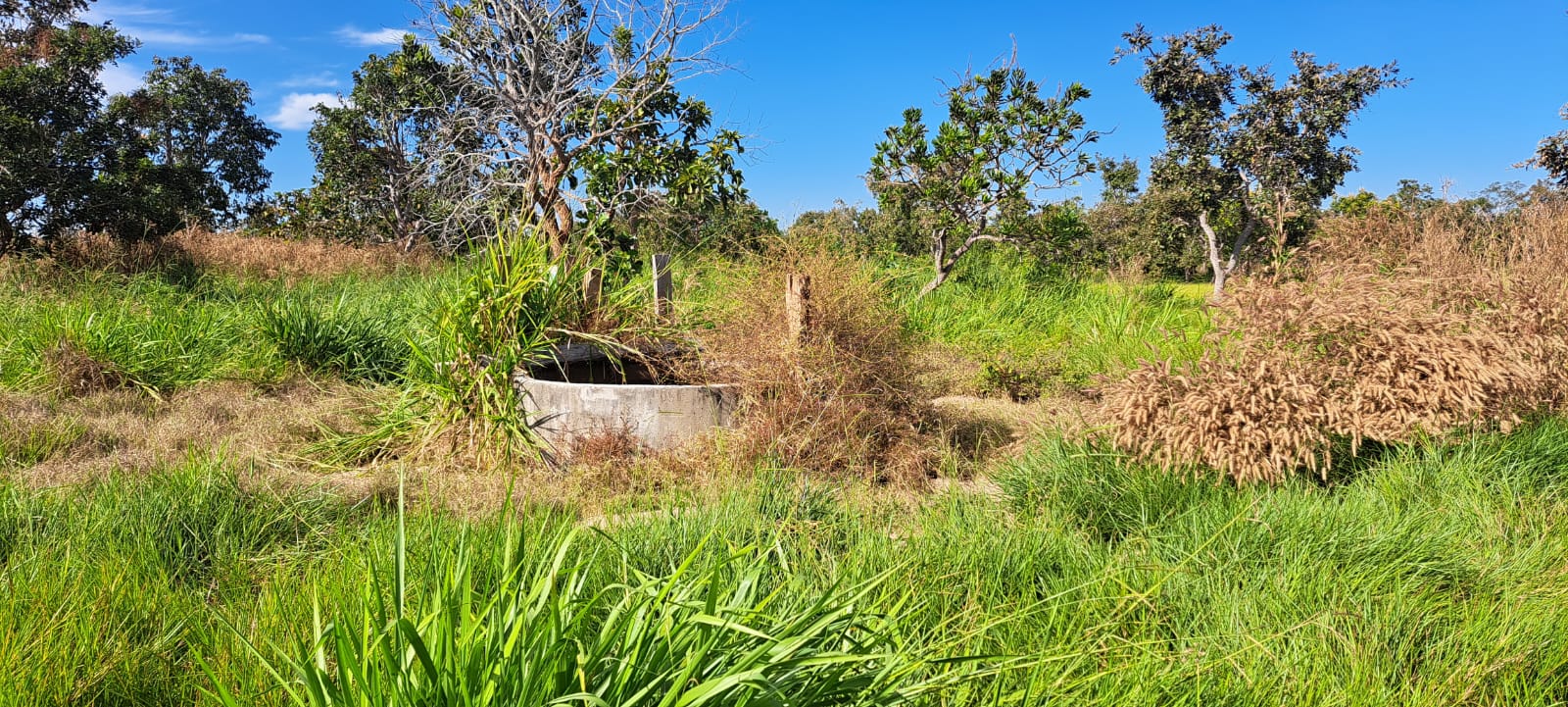 Imagem Fazenda à Venda, 25 Alq GOem Zona Rural - Araguaiana Imagem Fazenda à Venda, 25 Alq GOem Zona Rural - Araguaiana