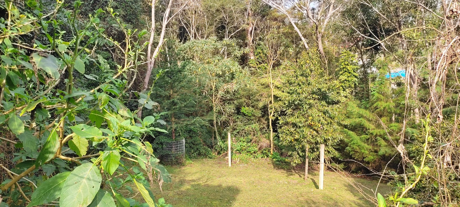 Imagem Casa com 6 Quartos à Venda, 2 m²em Vila Cubas - Tijucas do Sul Imagem Casa com 6 Quartos à Venda, 2 m²em Vila Cubas - Tijucas do Sul