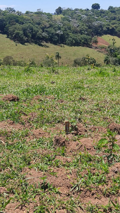 Imagem Terreno à Venda, 600 m² em Centro - Atibaia Imagem Terreno à Venda, 600 m² em Centro - Atibaia