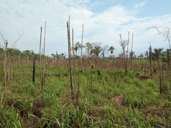 Imagem Terreno à Venda, 2.000 m² em Zona Rural - Humaitá Imagem Terreno à Venda, 2.000 m² em Zona Rural - Humaitá