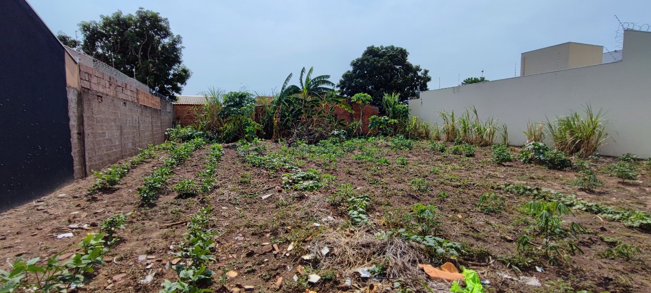 Imagem Terreno à Venda, 540 m²em Jardim Centro Oeste - Campo Grande
