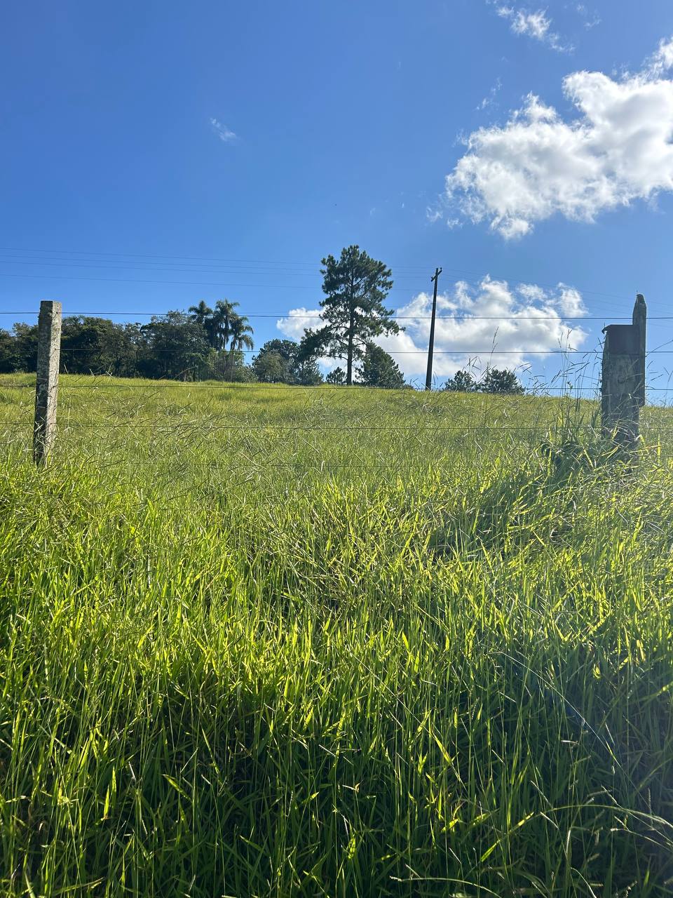 Imagem Terreno em Condomínio à Venda ou Locação, 500 m²em recreio verava - Ibiúna Imagem Terreno em Condomínio à Venda ou Locação, 500 m²em recreio verava - Ibiúna