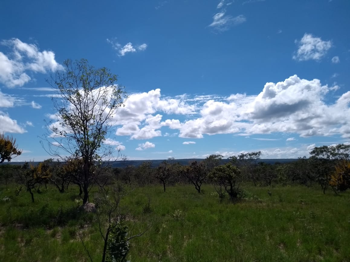 Imagem Fazenda à Venda, 64 Alq. GO em Zona Rural - Ribeirãozinho Imagem Fazenda à Venda, 64 Alq. GO em Zona Rural - Ribeirãozinho