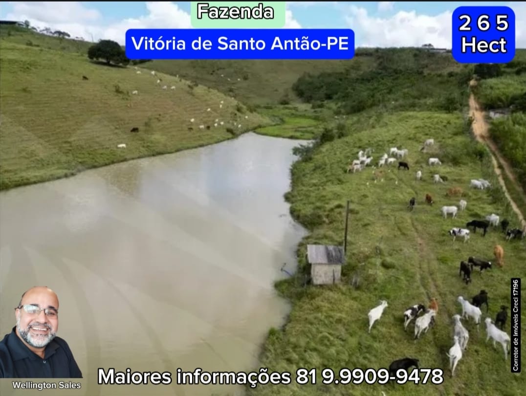 Imagem Imóvel com 4 Quartos à Venda, 265 m²em Área Rural de Vitória do Santo Antão - Vitória de Santo Antão Imagem Imóvel com 4 Quartos à Venda, 265 m²em Área Rural de Vitória do Santo Antão - Vitória de Santo Antão