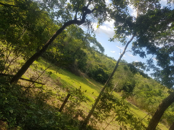 Imagem Fazenda à Venda, em Área Rural - Padre Bernardo Imagem Fazenda à Venda, em Área Rural - Padre Bernardo
