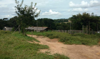 Imagem Fazenda à Venda, 8 Alq GOem Zona Rural - Silvânia Imagem Fazenda à Venda, 8 Alq GOem Zona Rural - Silvânia