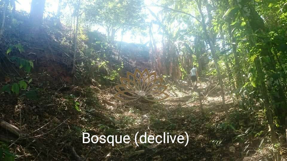 Imagem Terreno em Condomínio à Venda, 3 m²em Alpes D Ouro - Serra Negra - Bom Jesus dos Perdões Imagem Terreno em Condomínio à Venda, 3 m²em Alpes D Ouro - Serra Negra - Bom Jesus dos Perdões