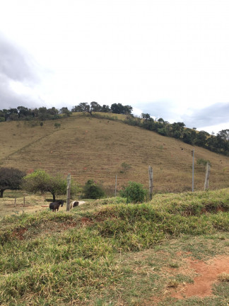 Imagem Fazenda à Venda, 149.000 m² em Zona Rural - Soledade de Minas Imagem Fazenda à Venda, 149.000 m² em Zona Rural - Soledade de Minas