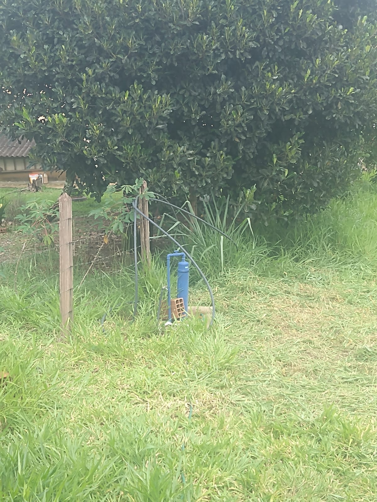 Imagem Chácara com 2 Quartos à Venda, 120 m²em Borda da Mata - Caçapava