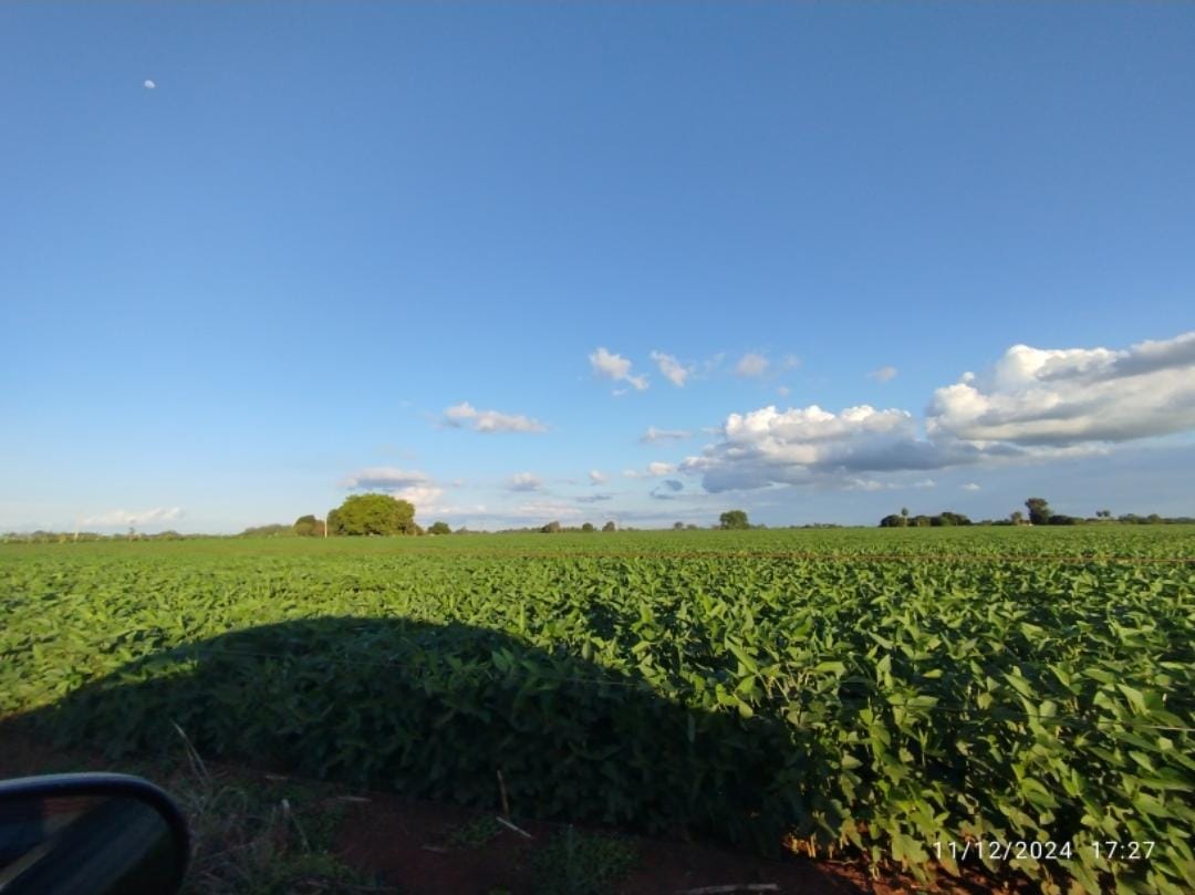Imagem Chácara com 2 Quartos à Venda, 75.000 m² em CENTRO - Douradina