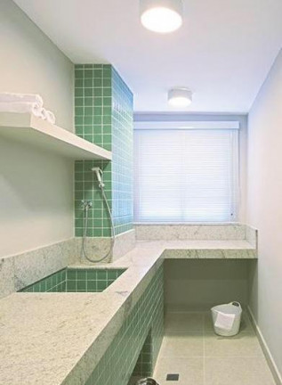Imagem Apartamento com 2 Quartos à Venda ou Locação, 47 m² em Vila Matilde - São Paulo