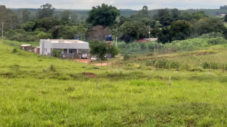 Imagem Chácara com 3 Quartos à Venda,  em Centro - Presidente Castelo Branco