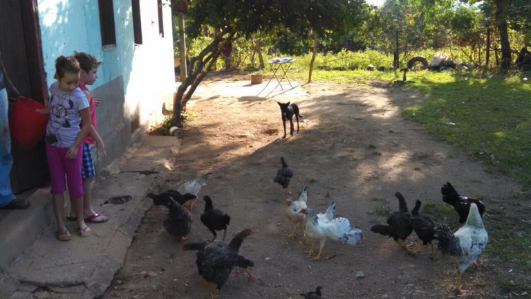 Imagem Chácara com 5 Quartos à Venda, em Centro - Simolândia Imagem Chácara com 5 Quartos à Venda, em Centro - Simolândia