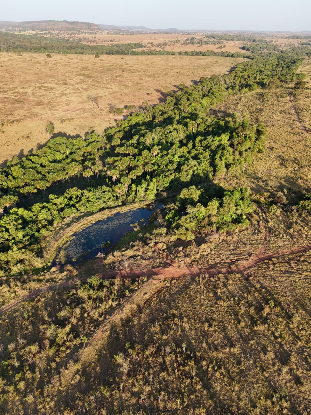 Imagem Fazenda à Venda, 119 Alq GOem ZONA RURAL - Itarumã
