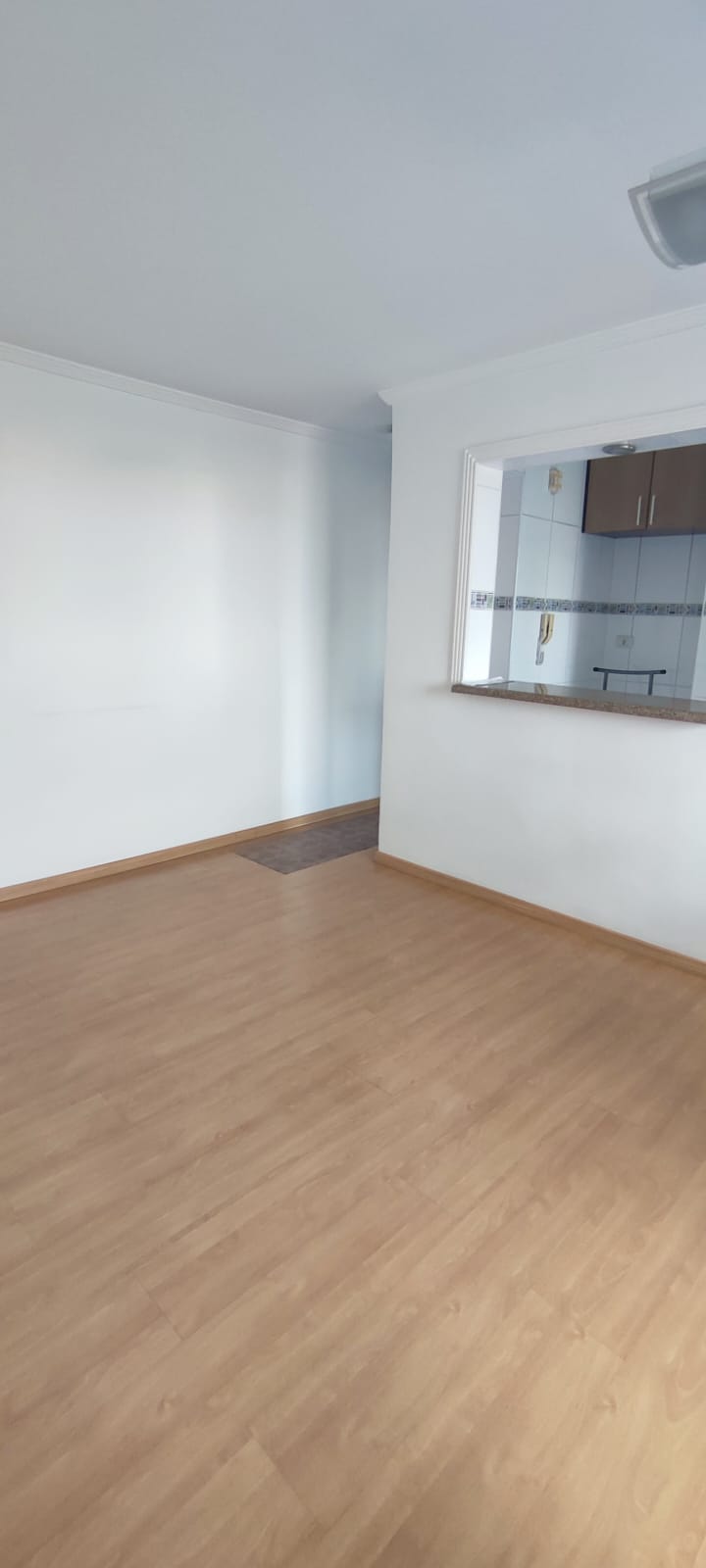 Imagem Apartamento com 2 Quartos à Venda, 56 m² em Jardim Umuarama - São Paulo Imagem Apartamento com 2 Quartos à Venda, 56 m² em Jardim Umuarama - São Paulo