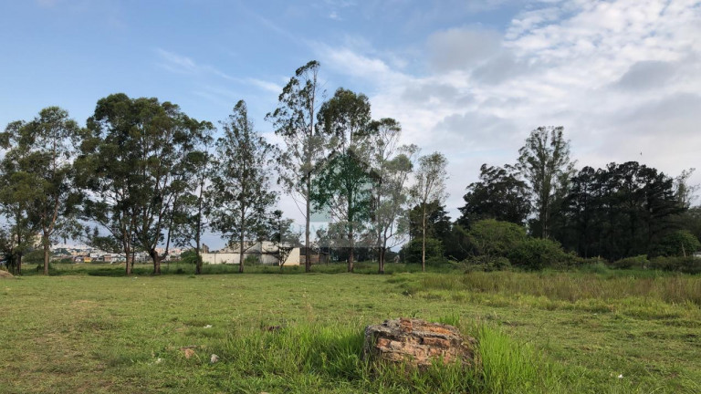 Imagem Terreno à Venda, 49.840 m² em Jardim Izildinha - Guarulhos Imagem Terreno à Venda, 49.840 m² em Jardim Izildinha - Guarulhos