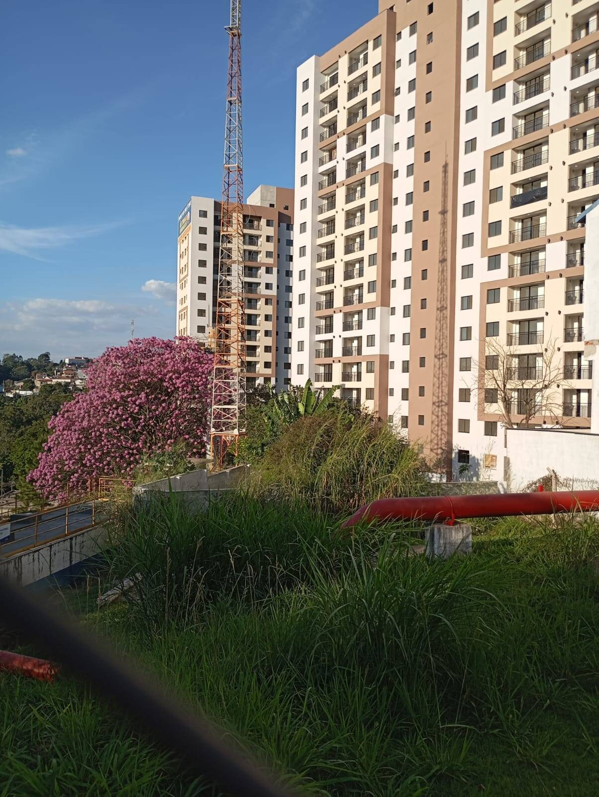 Imagem Apartamento com 2 Quartos à Venda, 49 m² em Vera Tereza - Caieiras Imagem Apartamento com 2 Quartos à Venda, 49 m² em Vera Tereza - Caieiras