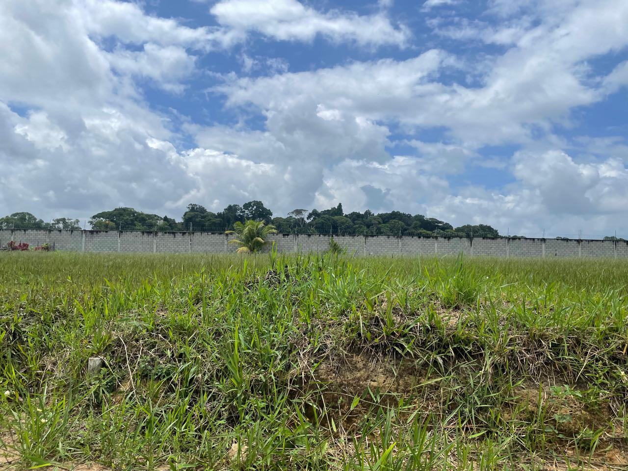 Imagem Terreno em Condomínio à Venda, 900 m² em - Paudalho Imagem Terreno em Condomínio à Venda, 900 m² em - Paudalho