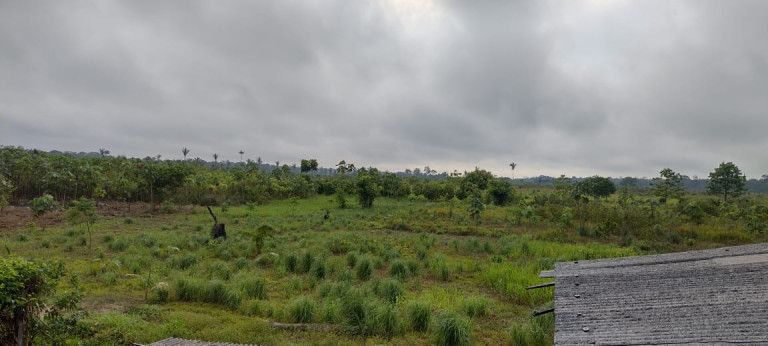 Terreno à Venda, 2.000 m² em Zona Rural - Humaitá
