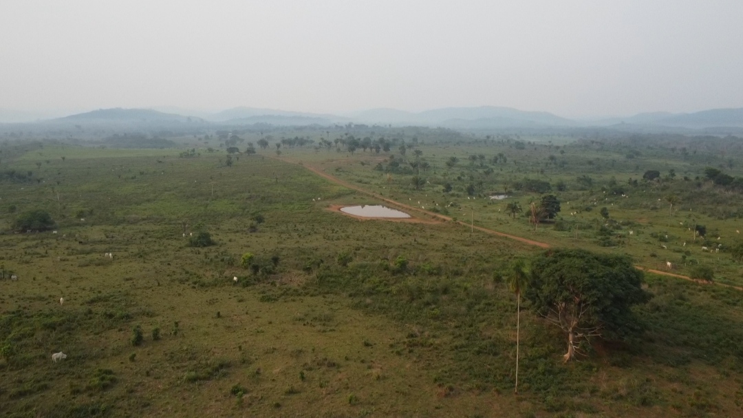 Imagem Fazenda à Venda, 1 m²em Centro  - São Félix do Xingu