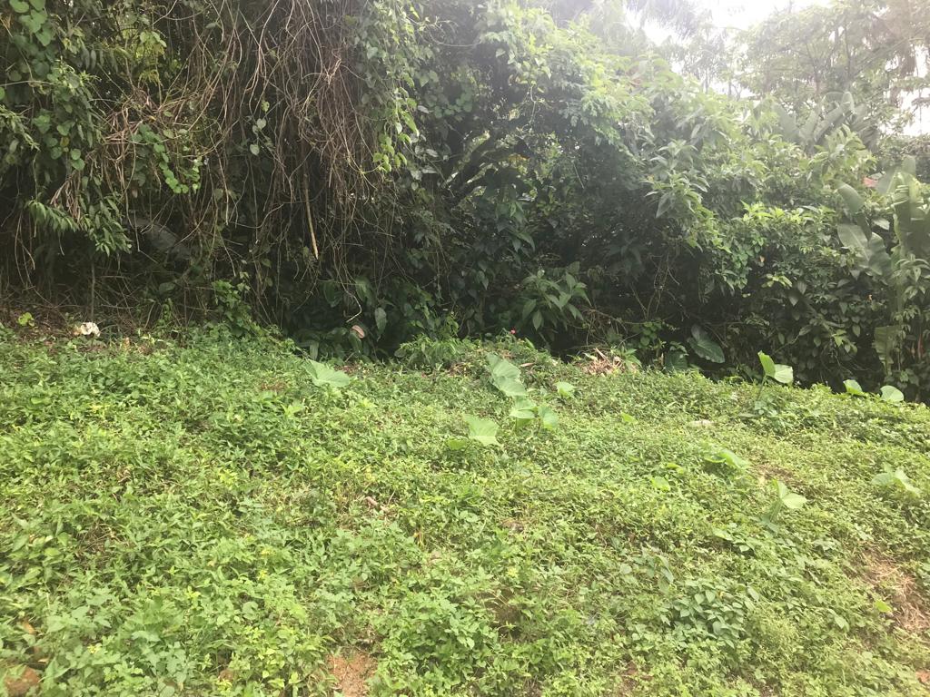 Terreno à Venda, 2 m²em Taquaral - Ubatuba
