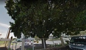 Imagem do condomínio Condomínio Buena Vista - Fabricio - Uberaba - MG