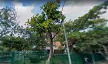 Imagem do condomínio Condomínio Do Edifício Jeribá - Barra Da Tijuca - Rio De Janeiro - RJ