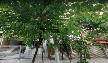 Imagem do condomínio Condomínio Do Edifício Natania - Icaraí - Niteroi - RJ