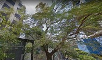 Imagem do condomínio Condomínio Do Edifício Palazzo Di Monaco - Gutierrez - Belo Horizonte - MG