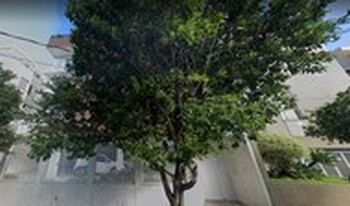 Imagem do condomínio Condomínio Do Edifício Residêncial Sophya - Buritis - Belo Horizonte - MG
