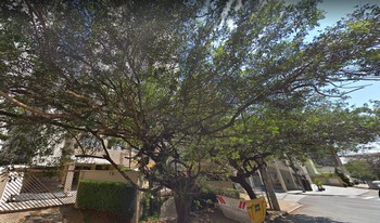 Imagem do condomínio Condomínio Alecrins De Campinas - Cambuí - Campinas - SP