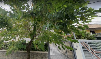 Imagem do condomínio Condomínio Dos Miosótis - Brooklin - São Paulo - SP