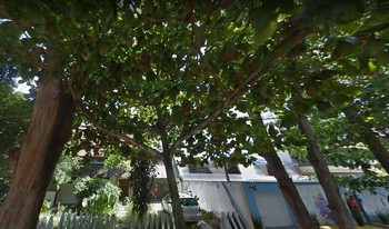 Imagem do condomínio Condomínio Residêncial Araruna - Recreio Dos Bandeirantes - Rio De Janeiro - RJ