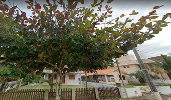 Imagem do condomínio Condomínio Residêncial Sargos - Palmas - Governador Celso Ramos - SC