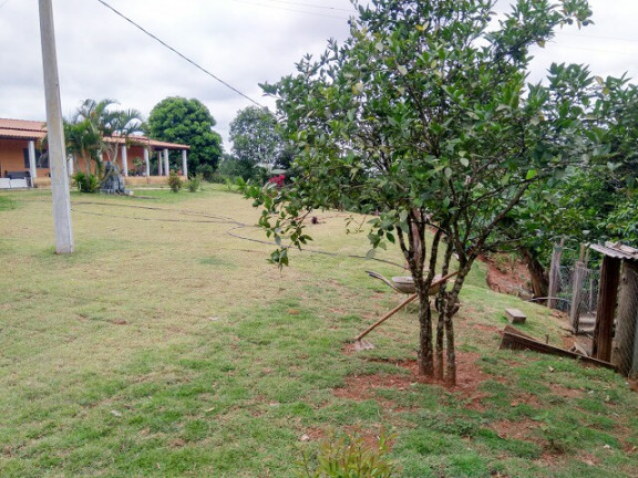 Imagem Chácara com 3 Quartos à Venda, 3 m² em Jardim Zaira - Mauá Imagem Chácara com 3 Quartos à Venda, 3 m² em Jardim Zaira - Mauá