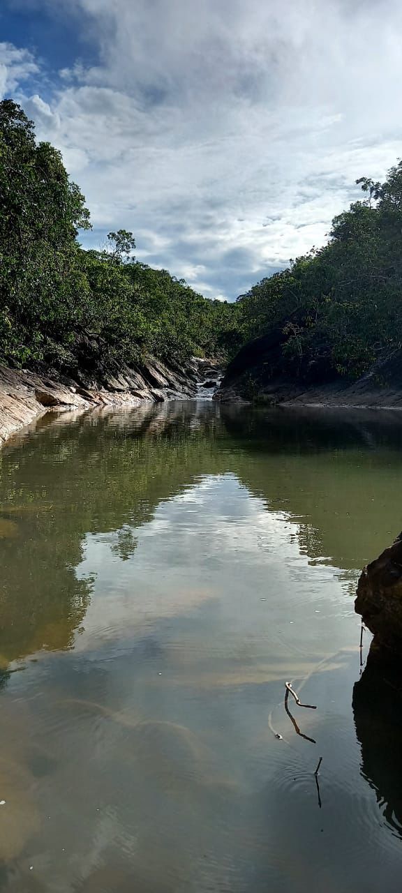 Imagem Fazenda à Venda, 630 HAem ZONA RURAL - Goiás Imagem Fazenda à Venda, 630 HAem ZONA RURAL - Goiás