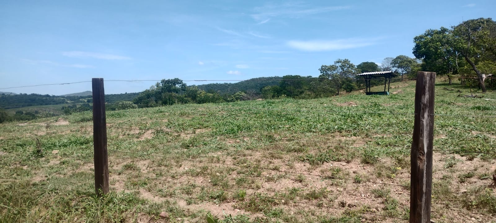 Imagem Fazenda à Venda, 16 Alq GO em SN - Caldas Novas Imagem Fazenda à Venda, 16 Alq GO em SN - Caldas Novas