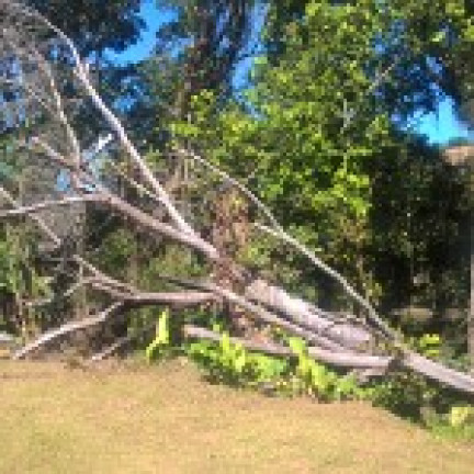 Imagem Chácara à Venda, 31.959 m² em Limoeiro - Guapimirim