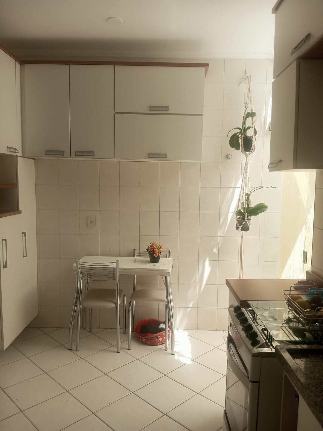 Imagem Casa de Condomínio com 3 Quartos à Venda, 155 m² em Jardim Monte Kemel - São Paulo Imagem Casa de Condomínio com 3 Quartos à Venda, 155 m² em Jardim Monte Kemel - São Paulo