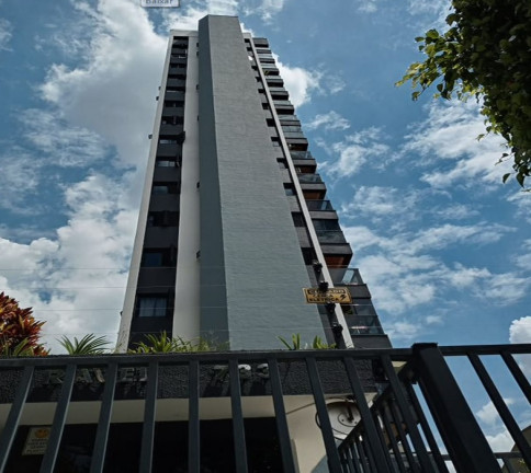 Imagem Apartamento com 2 Quartos para Alugar, 77 m² em Pinheiros - São Paulo Imagem Apartamento com 2 Quartos para Alugar, 77 m² em Pinheiros - São Paulo