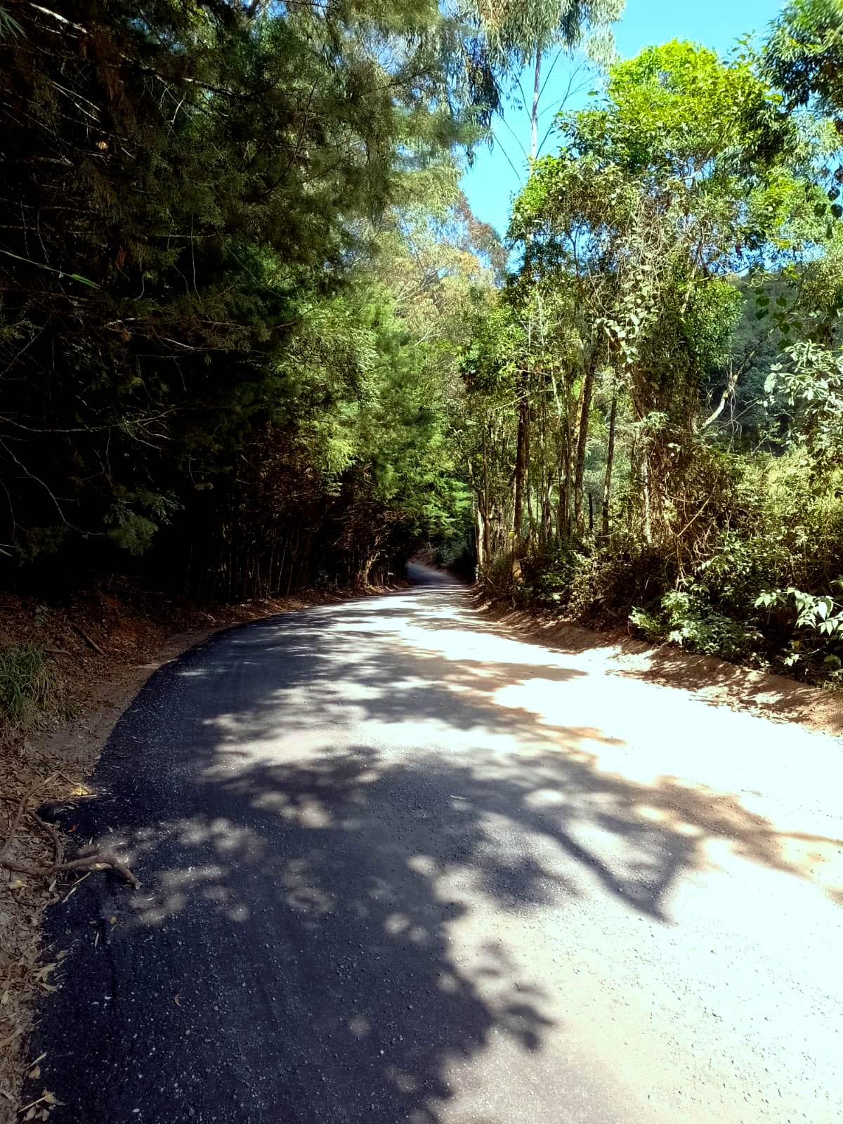Imagem Chácara à Venda, 20.000 m² em Colinas - Poços de Caldas Imagem Chácara à Venda, 20.000 m² em Colinas - Poços de Caldas