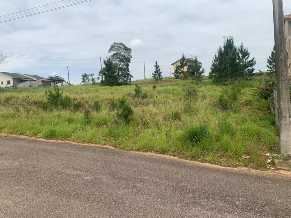 Imagem Terreno à Venda, em Linha Anta - Criciúma Imagem Terreno à Venda, em Linha Anta - Criciúma