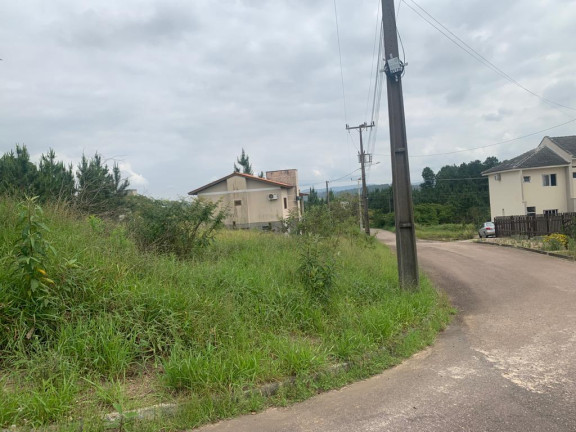 Imagem Terreno à Venda, em Linha Anta - Criciúma Imagem Terreno à Venda, em Linha Anta - Criciúma