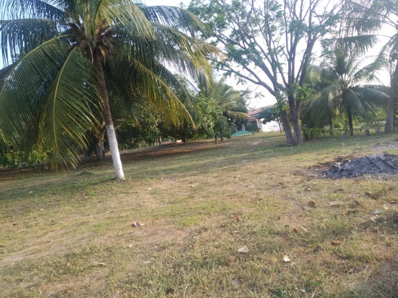 Imagem Terreno à Venda, 5.332 m² em Panaquatira - São José de Ribamar Imagem Terreno à Venda, 5.332 m² em Panaquatira - São José de Ribamar