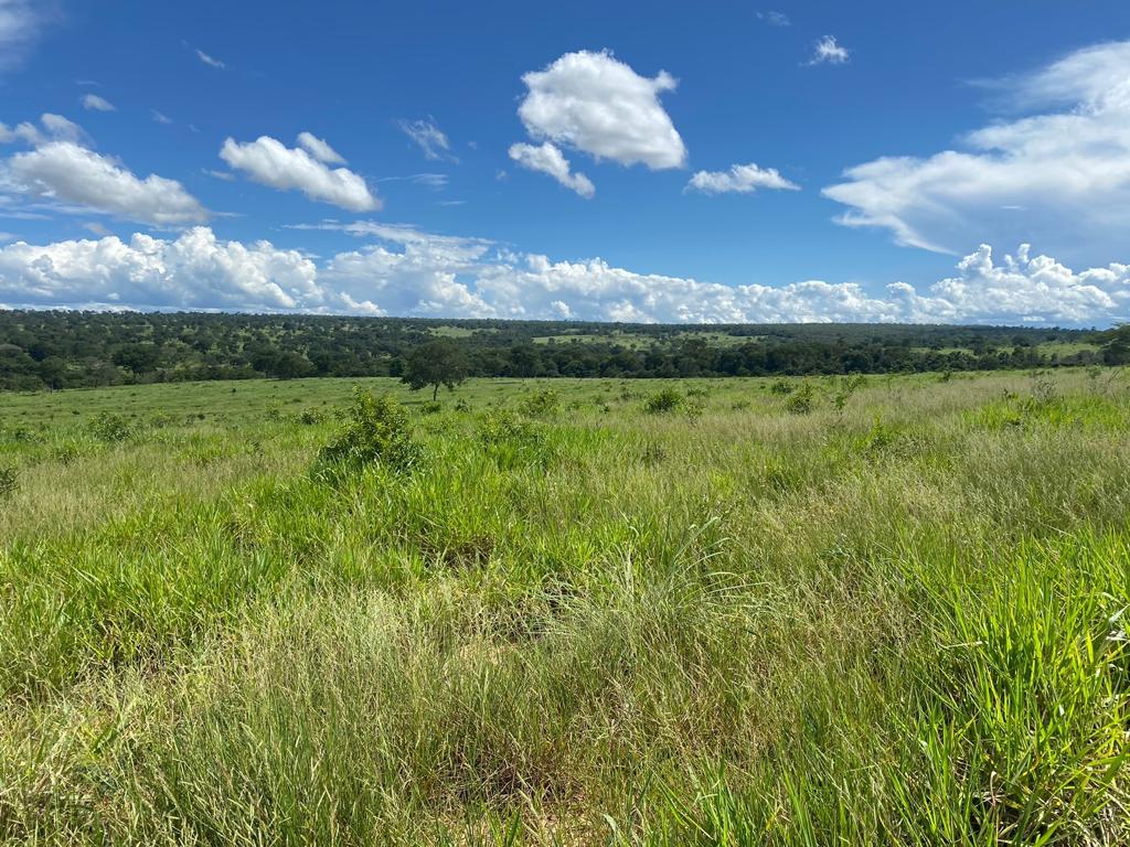 Imagem Fazenda à Venda, 100 Alq GOem ZONA RURAL - Pontal do Araguaia Imagem Fazenda à Venda, 100 Alq GOem ZONA RURAL - Pontal do Araguaia