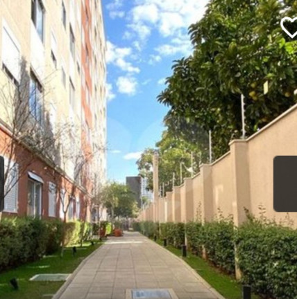 Imagem Apartamento com 2 Quartos para Alugar, em Vila Leopoldina - São Paulo Imagem Apartamento com 2 Quartos para Alugar, em Vila Leopoldina - São Paulo