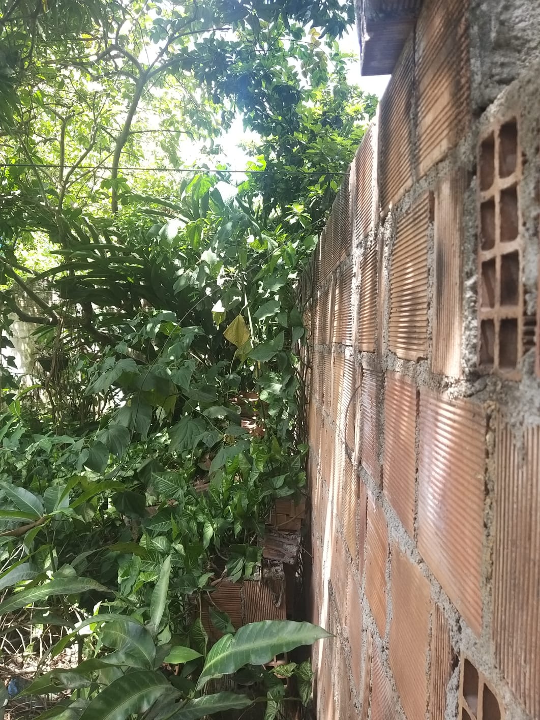 Imagem Terreno à Venda, 1 m²em Várzea - Recife