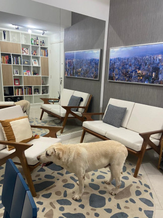 Imagem Apartamento com 2 Quartos à Venda, 90 m² em Água Branca - São Paulo Imagem Apartamento com 2 Quartos à Venda, 90 m² em Água Branca - São Paulo
