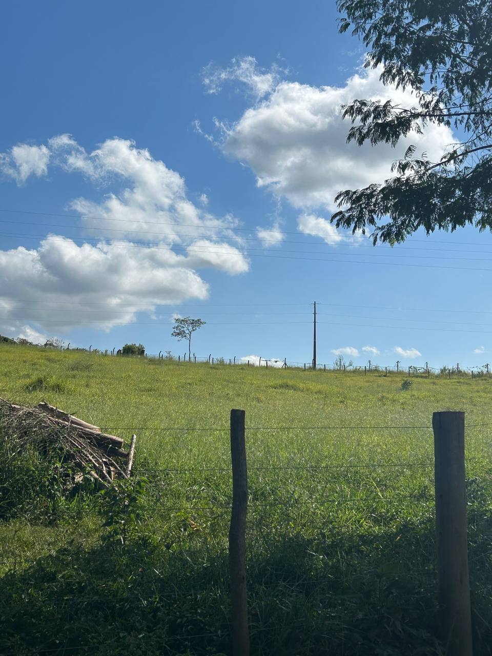 Imagem Terreno em Condomínio à Venda ou Locação, 500 m²em recreio verava - Ibiúna Imagem Terreno em Condomínio à Venda ou Locação, 500 m²em recreio verava - Ibiúna